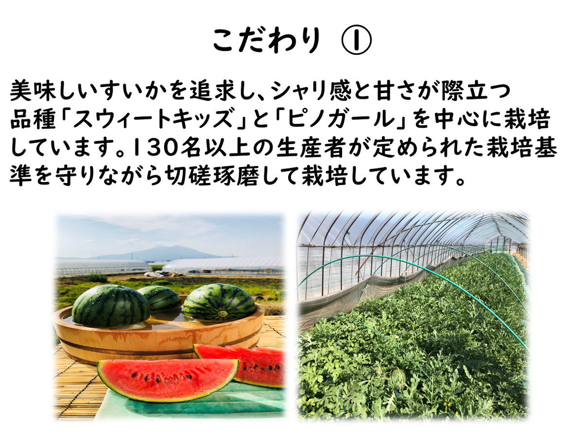 こだま西瓜（紅の誘惑）スウィートキッズ L 2玉入 | きらいちネット